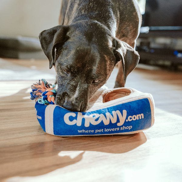 Pedigree DentaStix Daily Oral Care – 7 Sticks